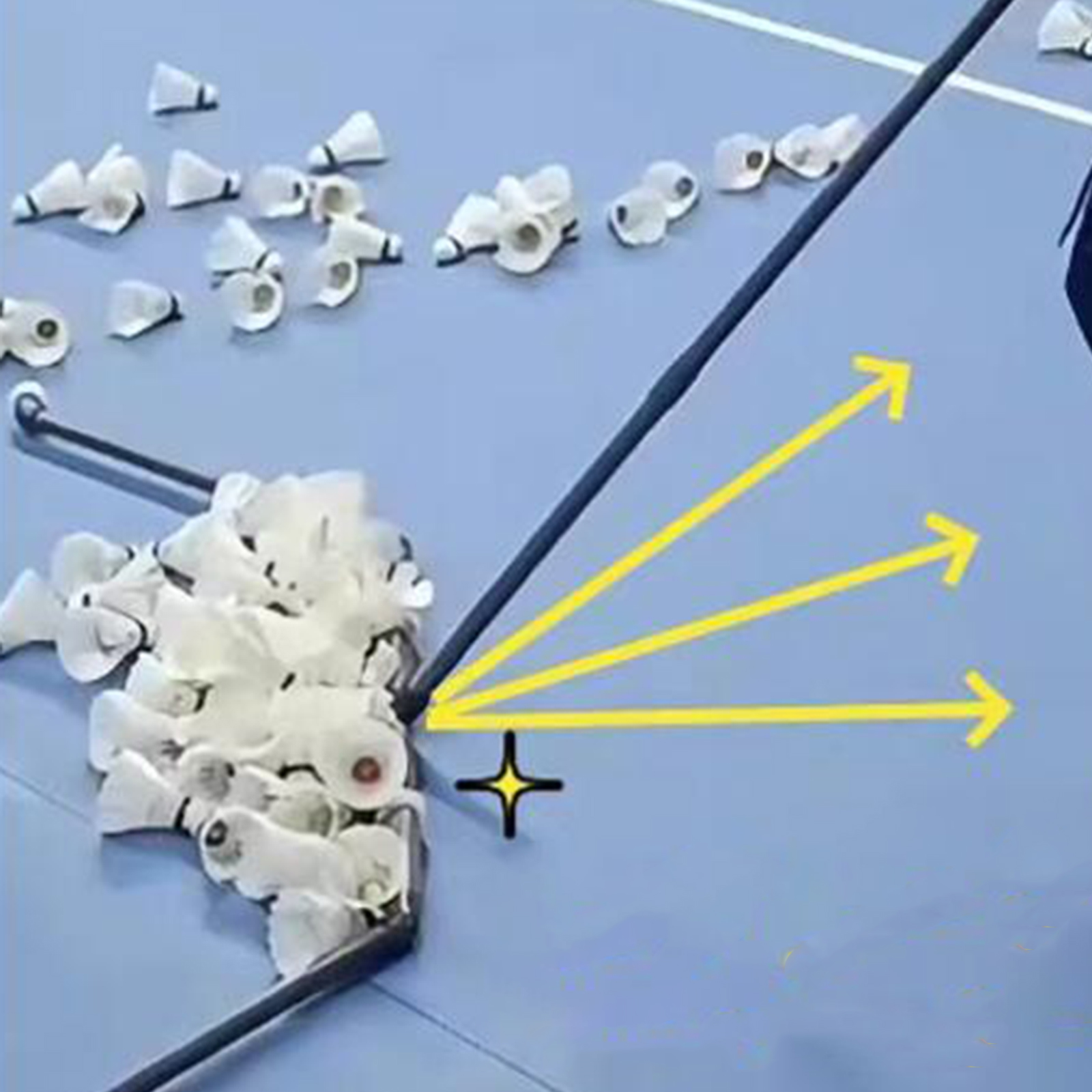 Badminton Shuttlecock Collecto - Badminton Set Garden ulasan dan harga